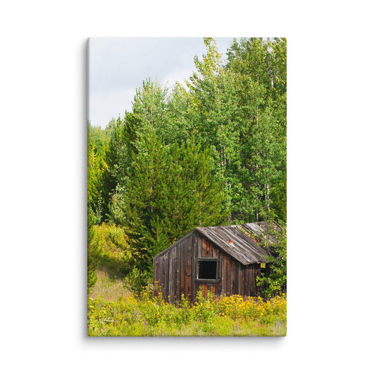 Forgotten Homestead – Abandoned Log Cabin Canvas Art.