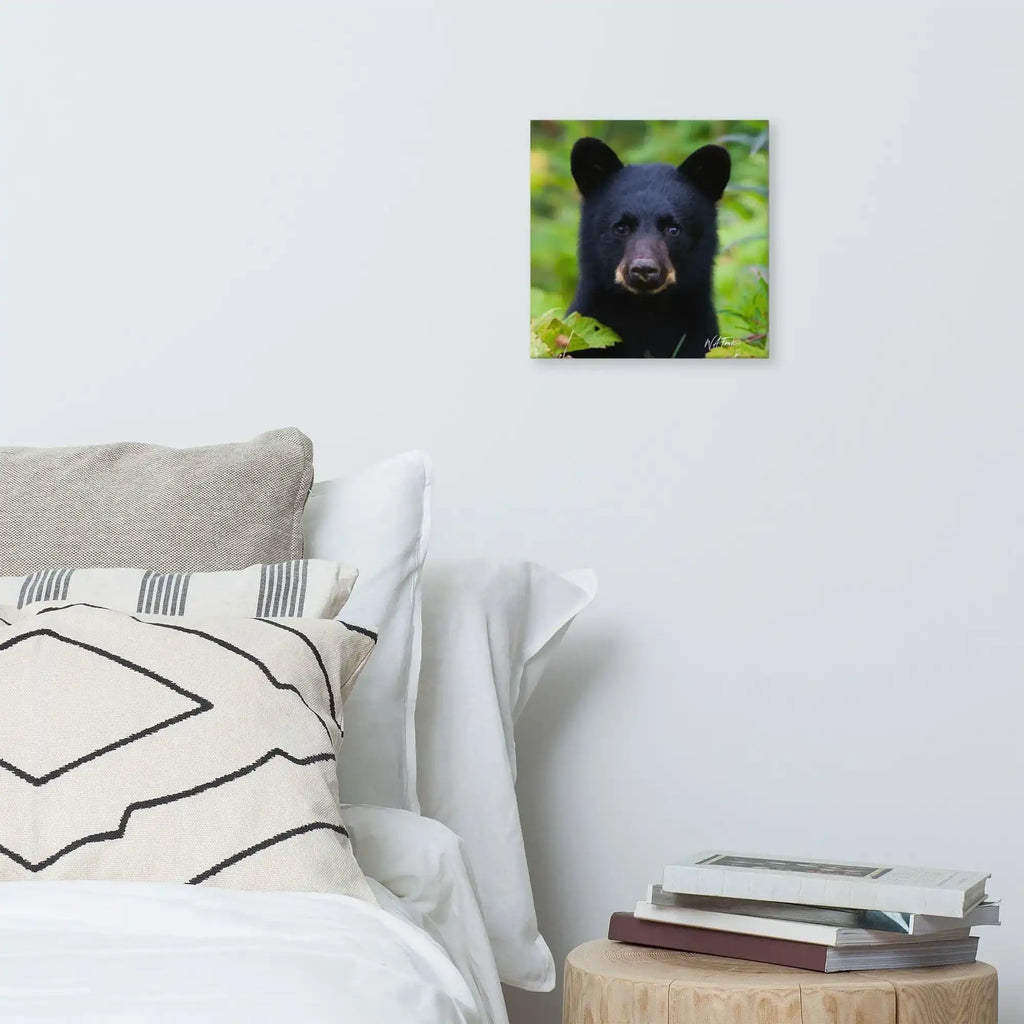 Adorable black bear cub exploring the forest, showcasing its playful and curious nature in a natural habitat