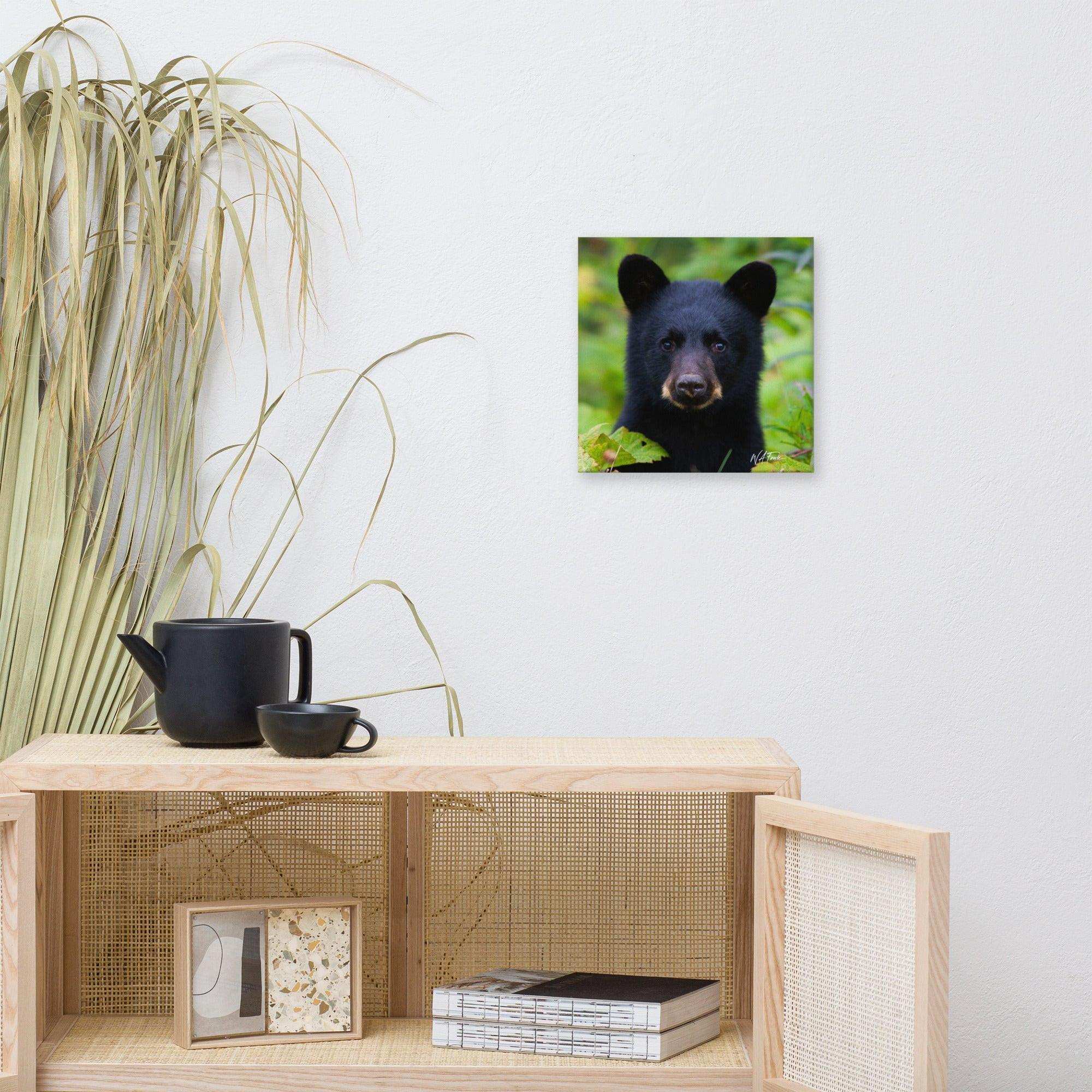 Adorable black bear cub exploring the forest, showcasing its playful and curious nature in a natural habitat