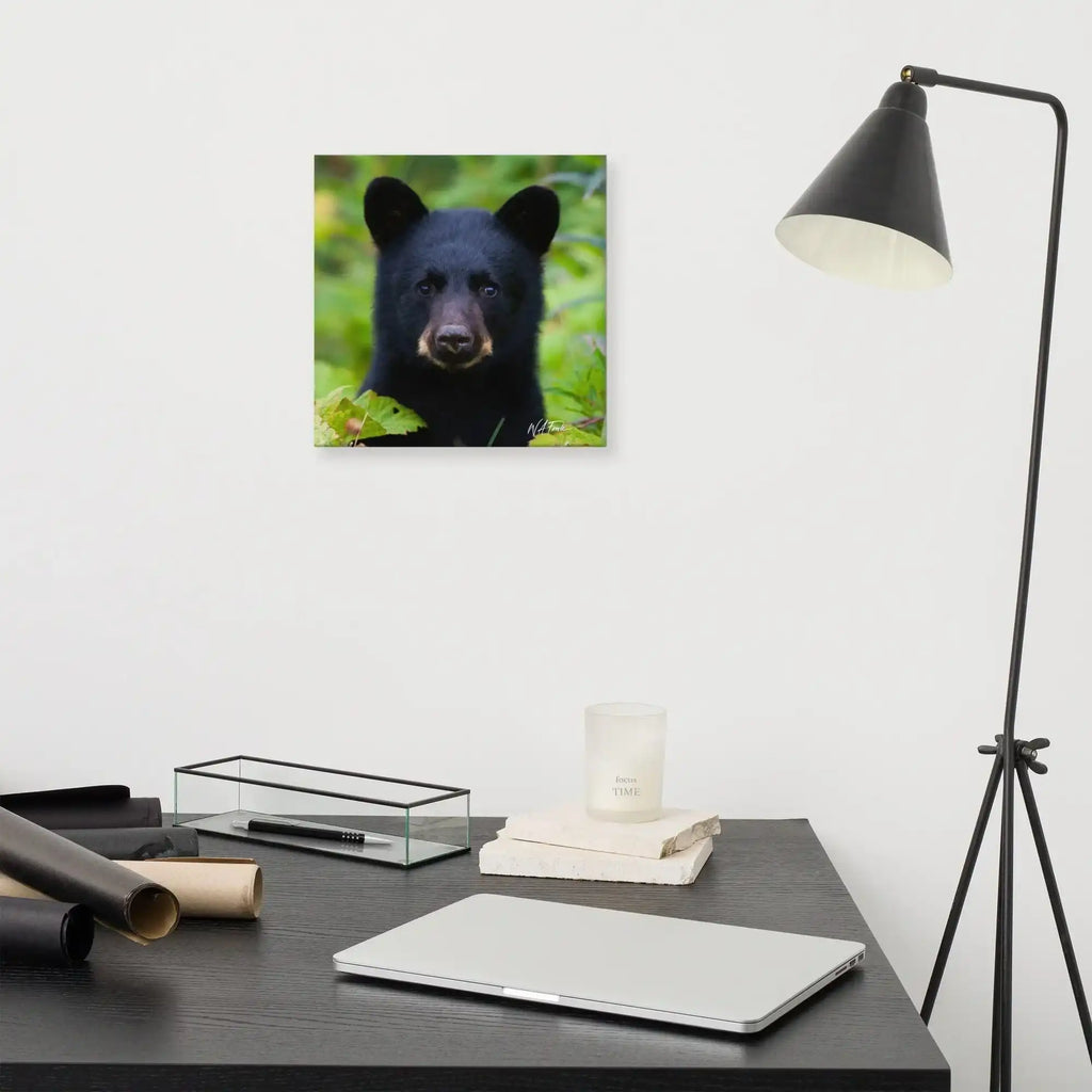 Adorable black bear cub exploring the forest, showcasing its playful and curious nature in a natural habitat