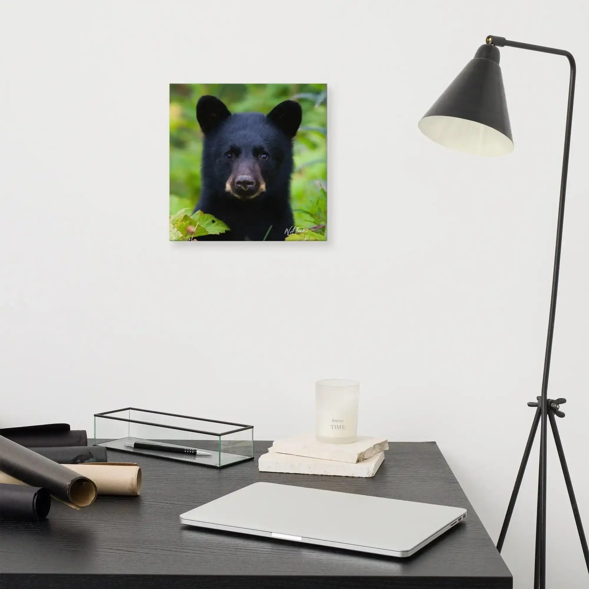Adorable black bear cub exploring the forest, showcasing its playful and curious nature in a natural habitat