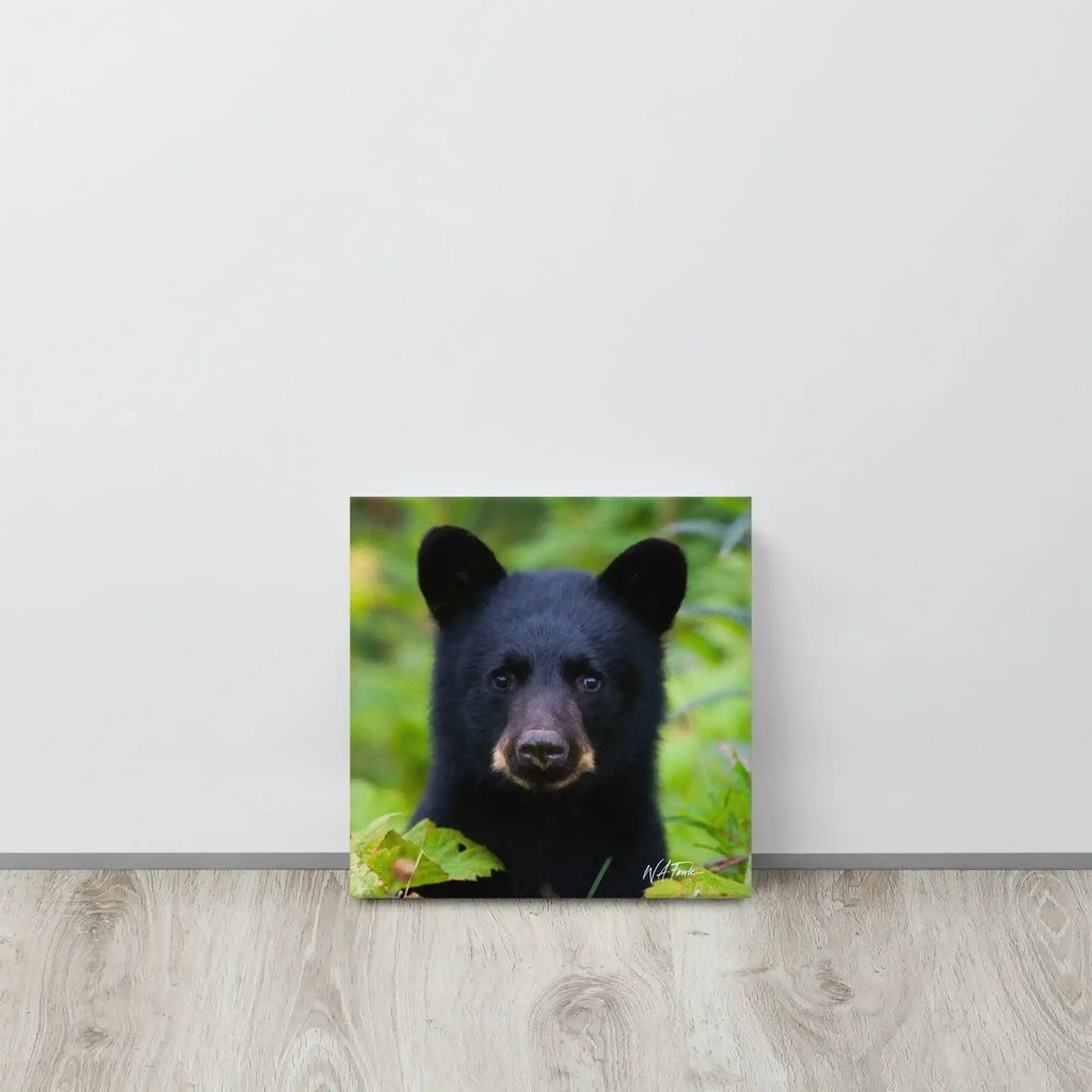Adorable black bear cub exploring the forest, showcasing its playful and curious nature in a natural habitat