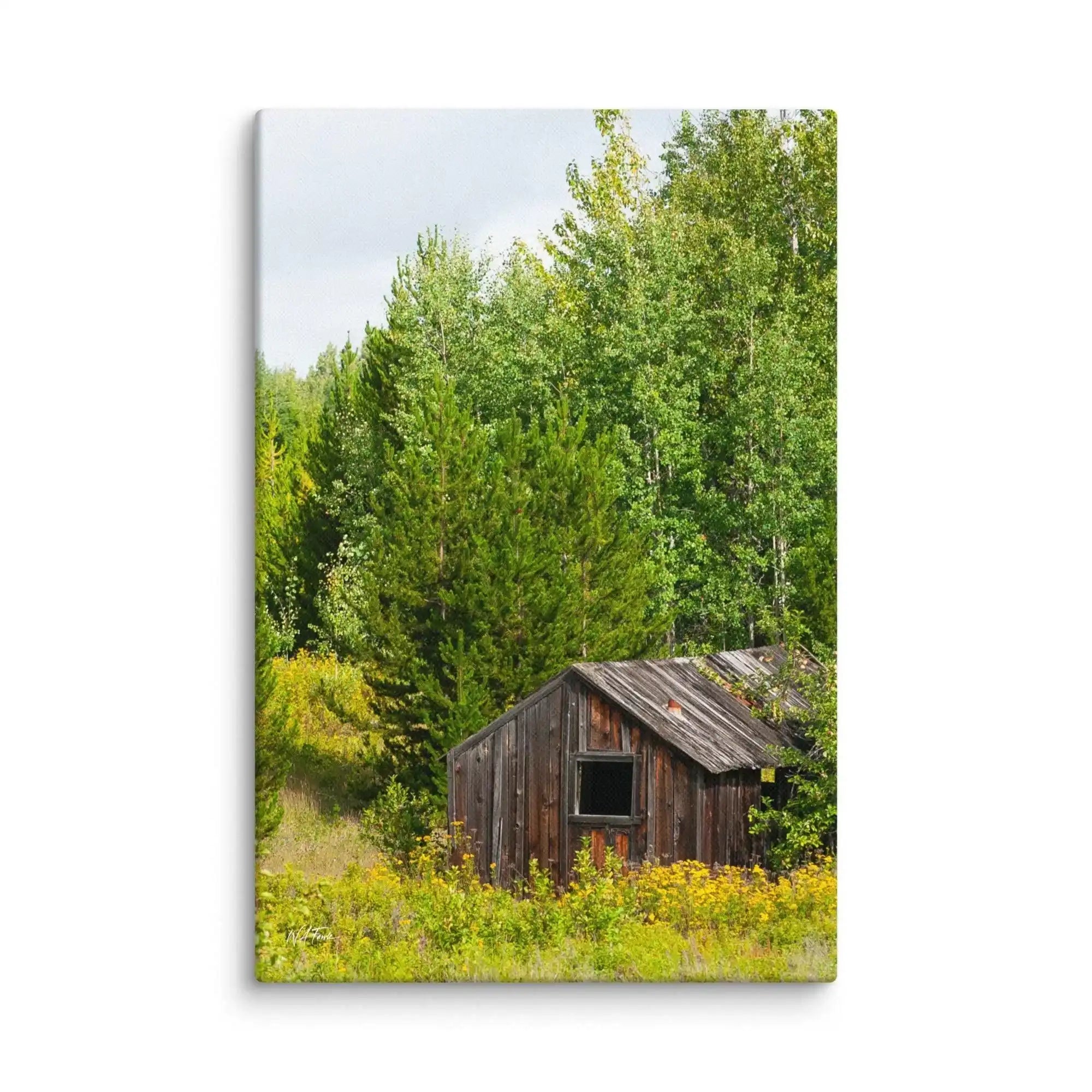 Rustic wooden cabin in a green forest landscape, professional nature photography wall art