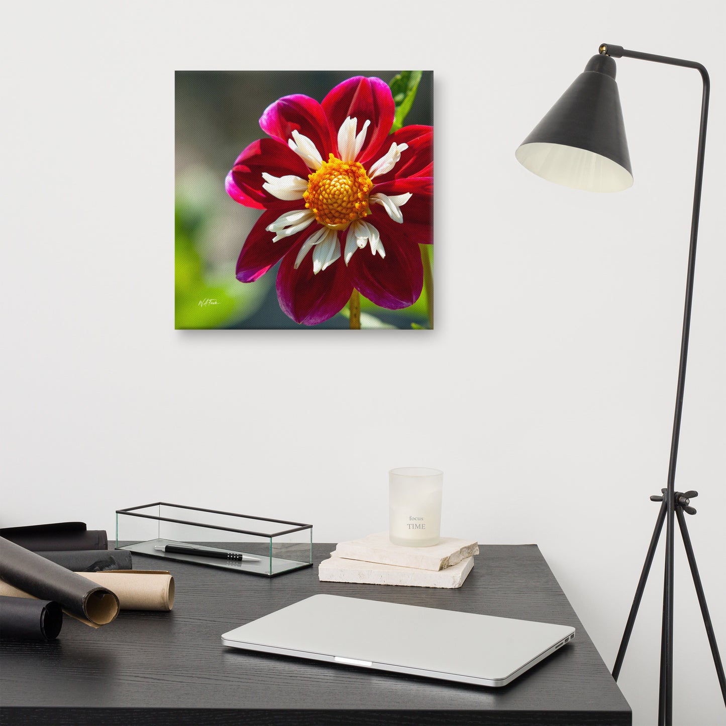 Crimson Crown – Collarette Dahlia Fine Art Photography Print