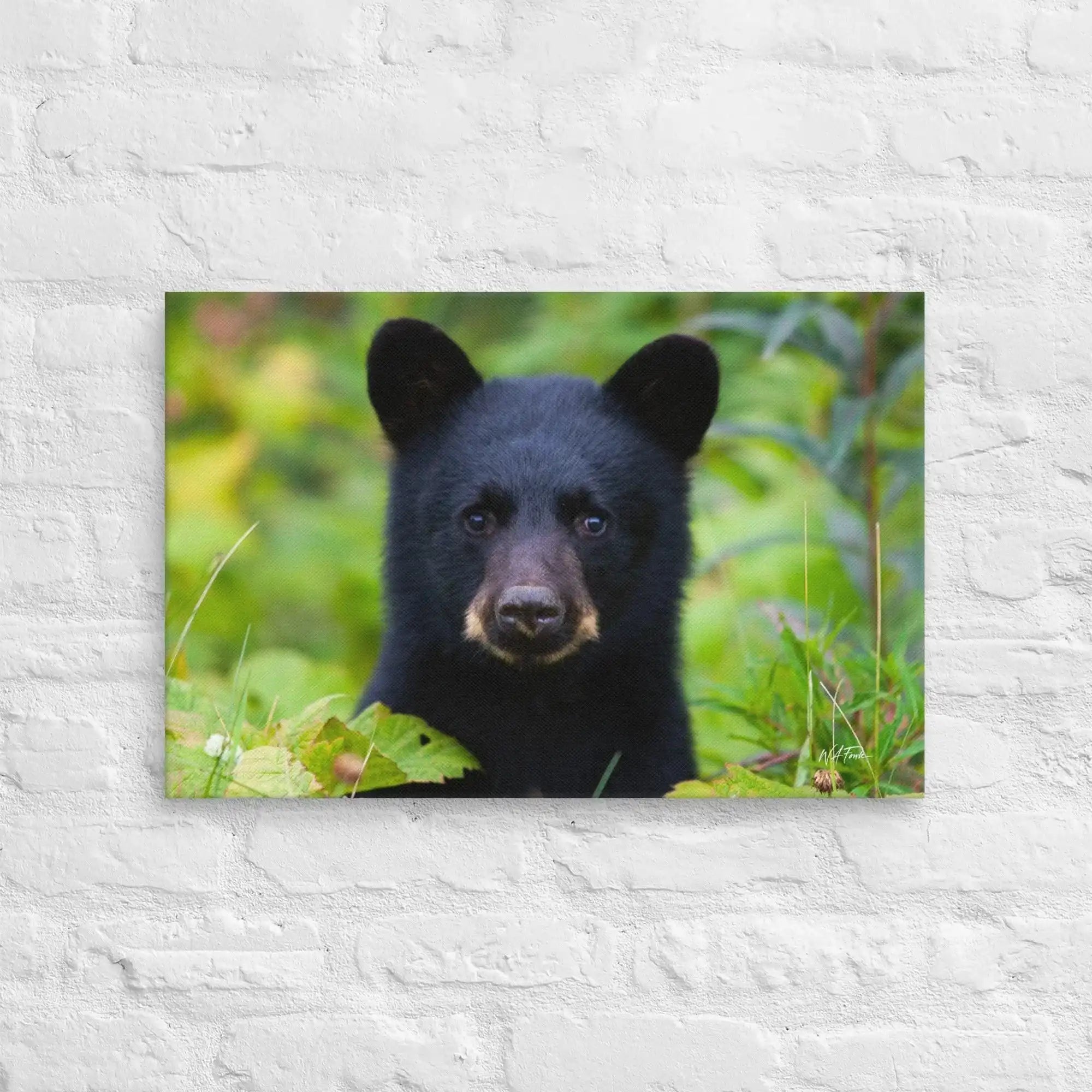 Adorable black bear cub exploring the forest, showcasing its playful and curious nature in a natural habitat