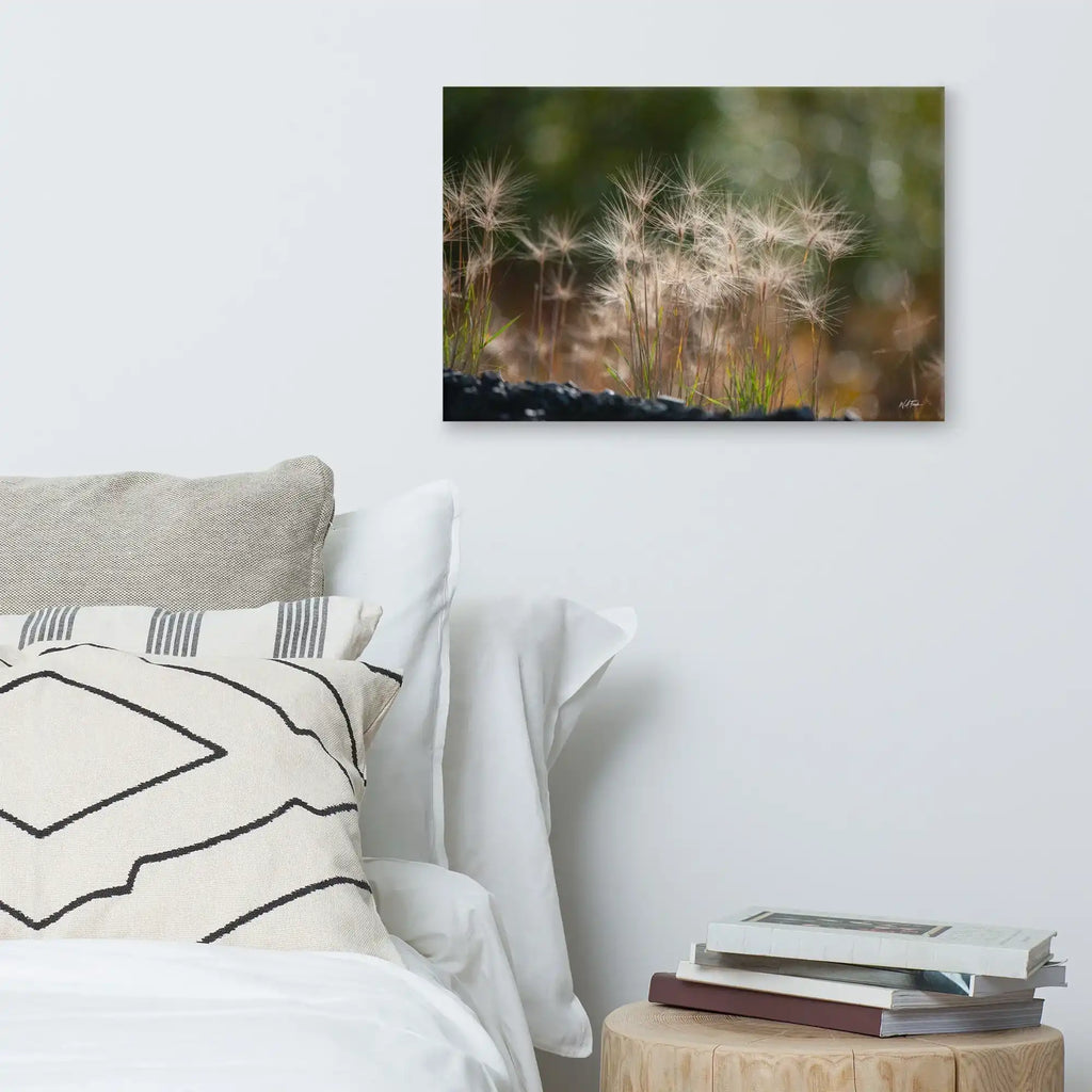 Nature wall art with close-up dandelion seed heads in modern bedroom decor