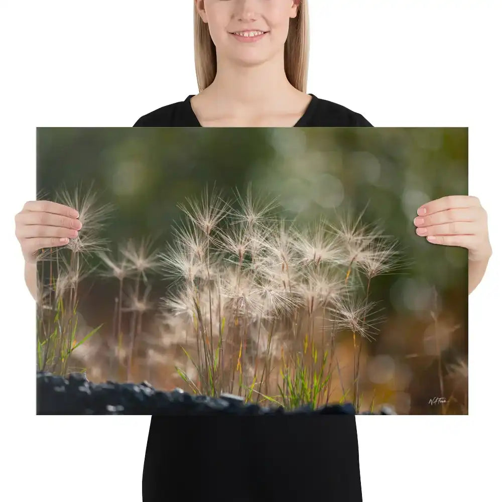 Woman holding canvas print featuring close-up dandelions and soft green bokeh background
