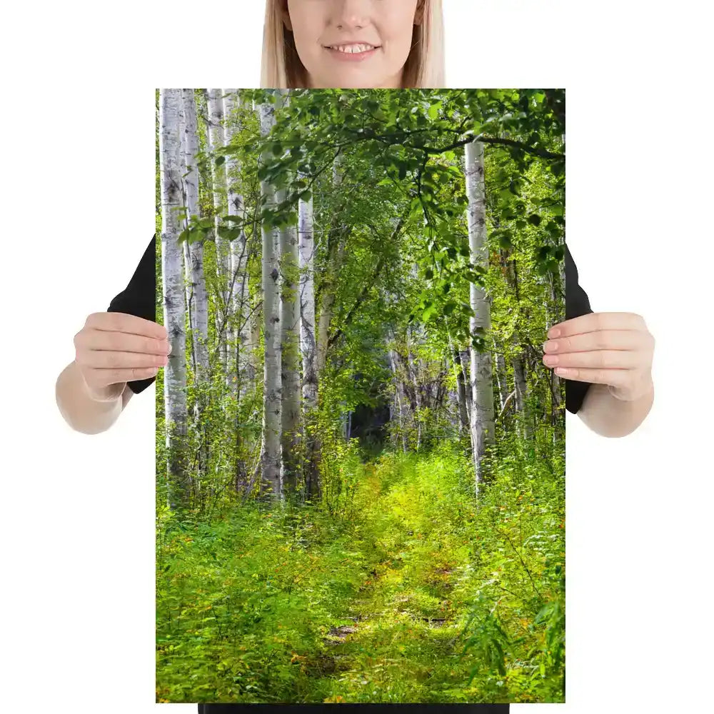 Canvas print of a lush green forest path with tall birch trees and dense foliage