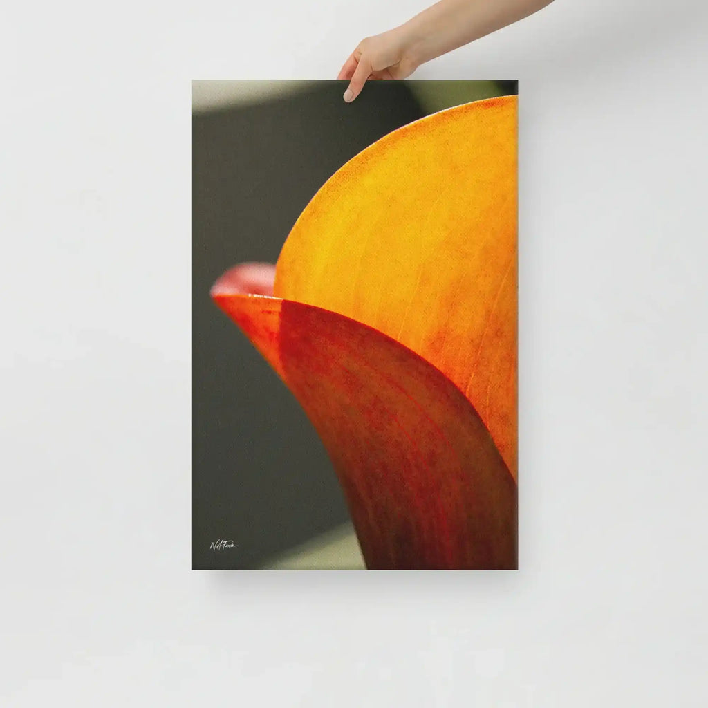 A vertical fine art macro photograph of a Calla Lily petal in shades of vibrant orange and gold. The sunlight filters through the petal, highlighting fine veins and textures against a soft, dark background. The image is presented as a professional gallery-wrapped canvas by Bill Fowle.