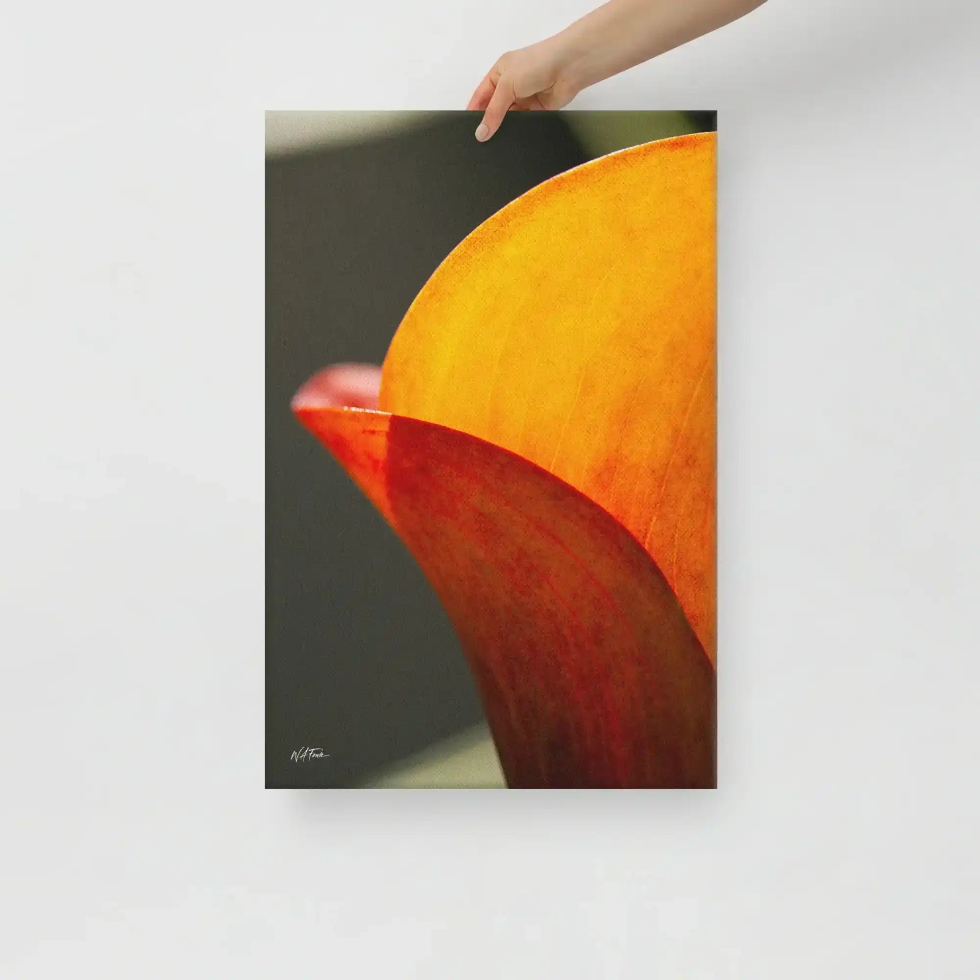 A vertical fine art macro photograph of a Calla Lily petal in shades of vibrant orange and gold. The sunlight filters through the petal, highlighting fine veins and textures against a soft, dark background. The image is presented as a professional gallery-wrapped canvas by Bill Fowle.