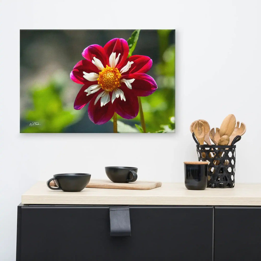 Colorful dahlia flower wall art print displayed above modern kitchen counter decor