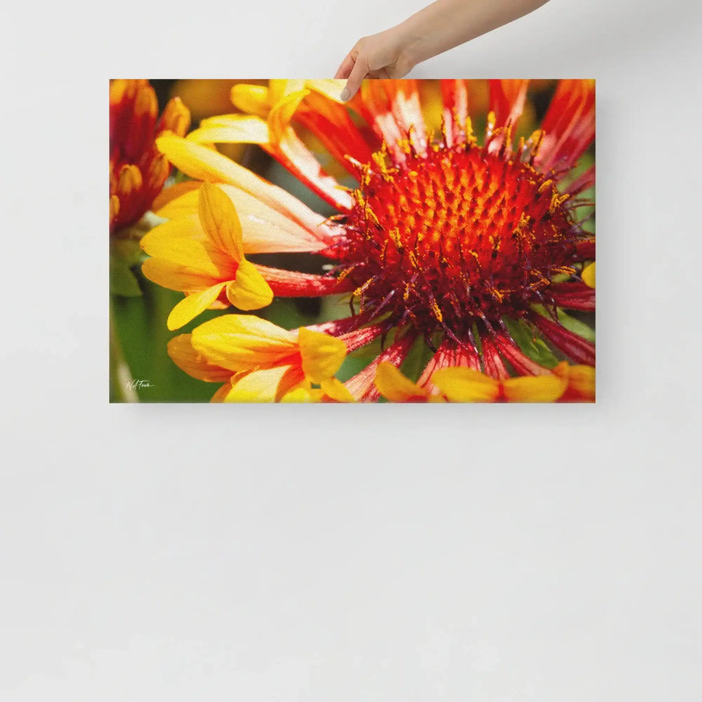 Hand holding canvas wall art with close-up of vibrant red and yellow flower