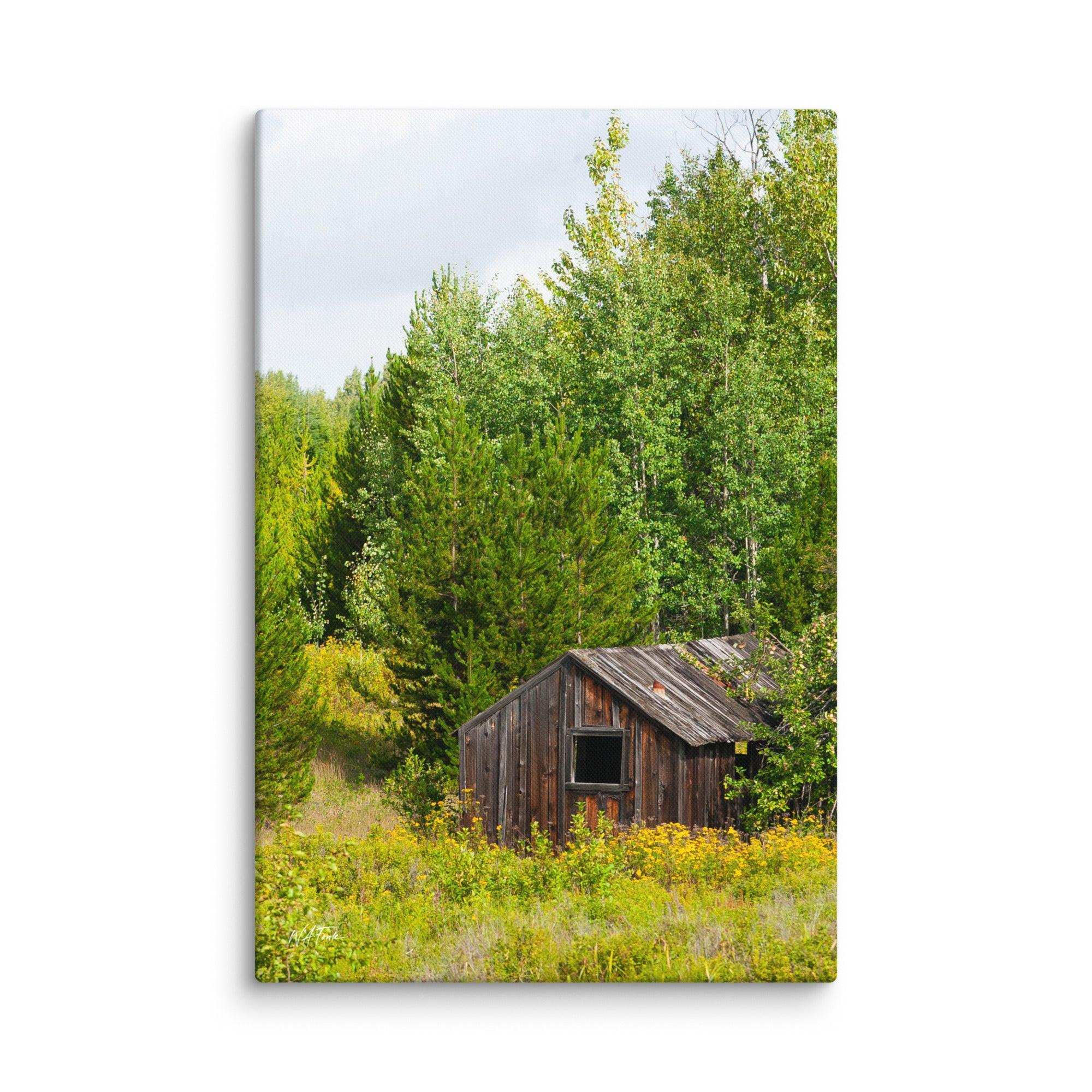 Rustic wooden cabin surrounded by green forest and wildflowers canvas wall art