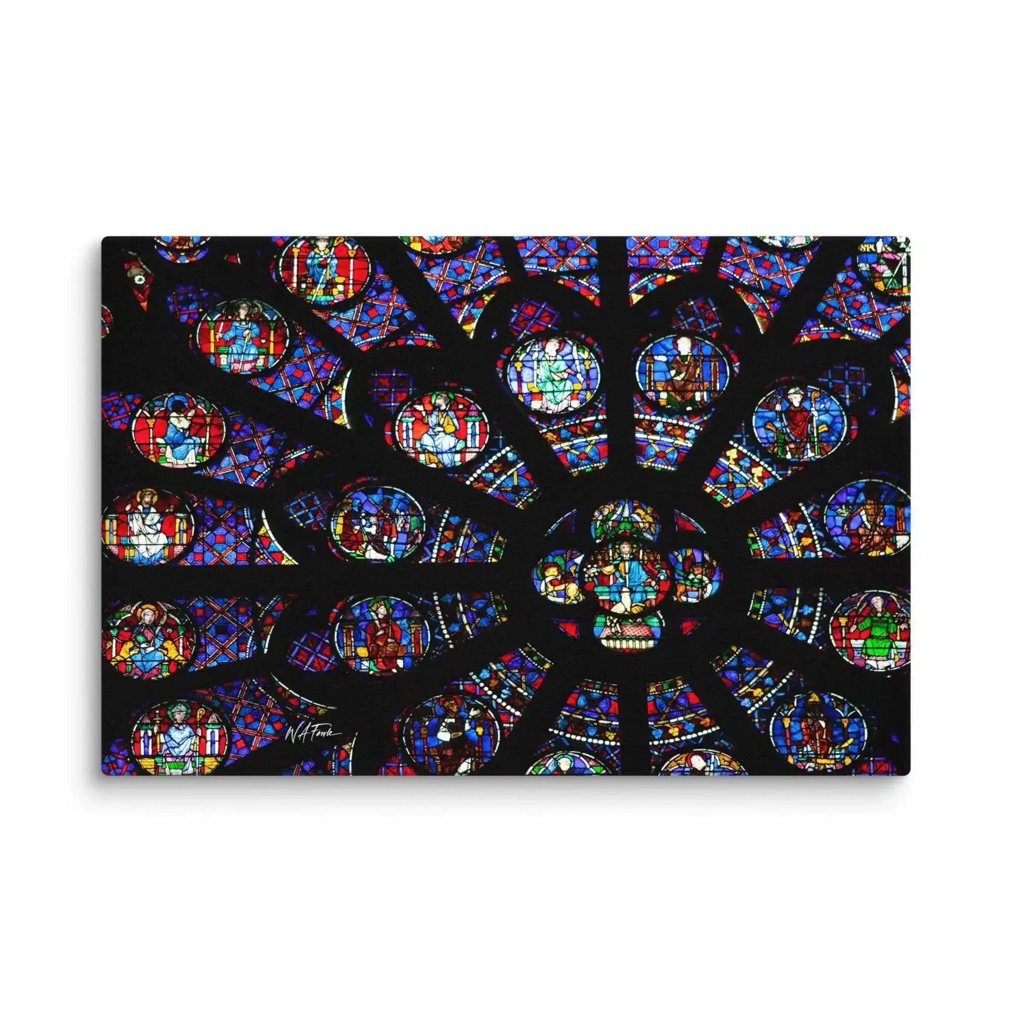Stunning Gothic Notre Dame rosette window showcasing vibrant stained glass artistry