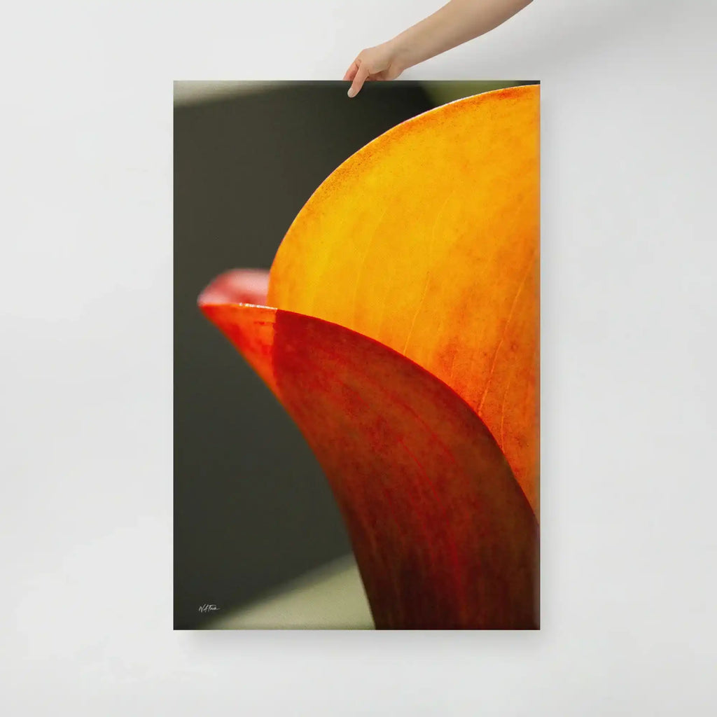 A vertical fine art macro photograph of a Calla Lily petal in shades of vibrant orange and gold. The sunlight filters through the petal, highlighting fine veins and textures against a soft, dark background. The image is presented as a professional gallery-wrapped canvas by Bill Fowle.