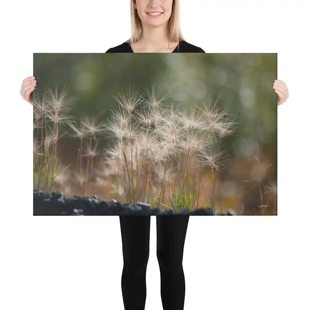 Woman holding nature photography canvas print featuring dandelion seed heads and green bokeh background