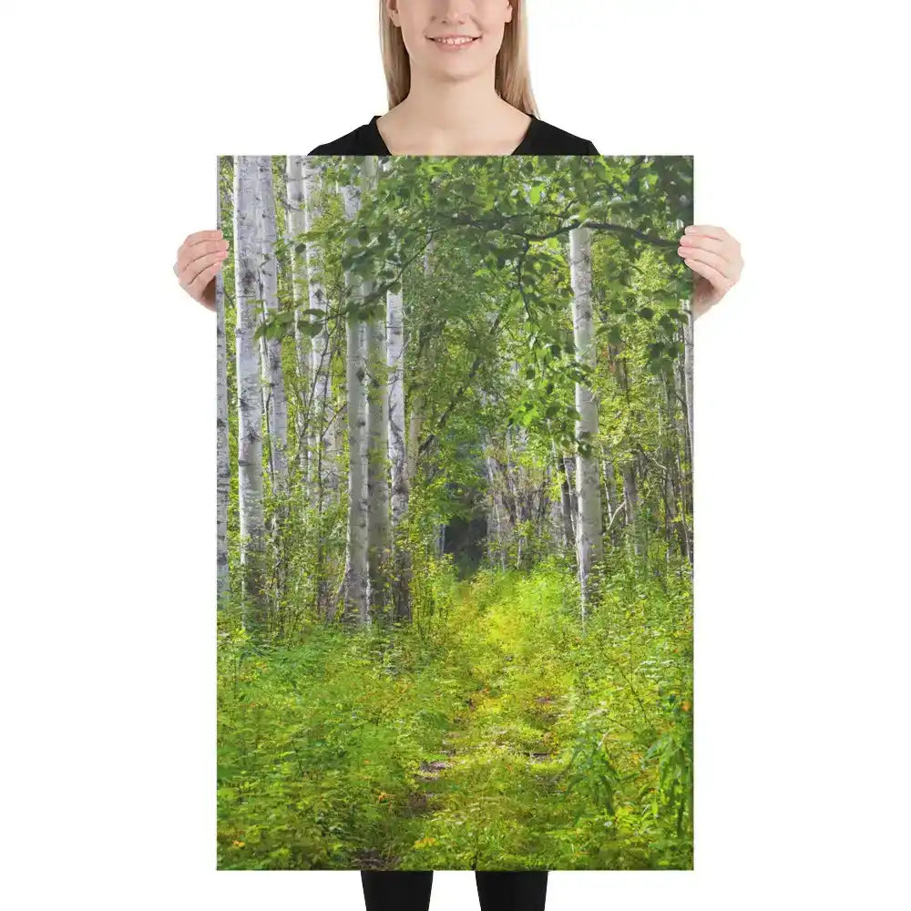 Woman holding canvas print featuring a scenic birch forest path with lush green foliage