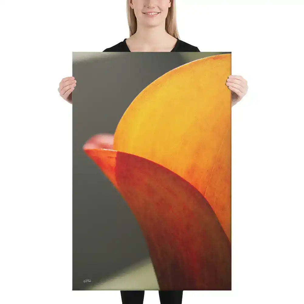 A vertical fine art macro photograph of a Calla Lily petal in shades of vibrant orange and gold. The sunlight filters through the petal, highlighting fine veins and textures against a soft, dark background. The image is presented as a professional gallery-wrapped canvas by Bill Fowle.