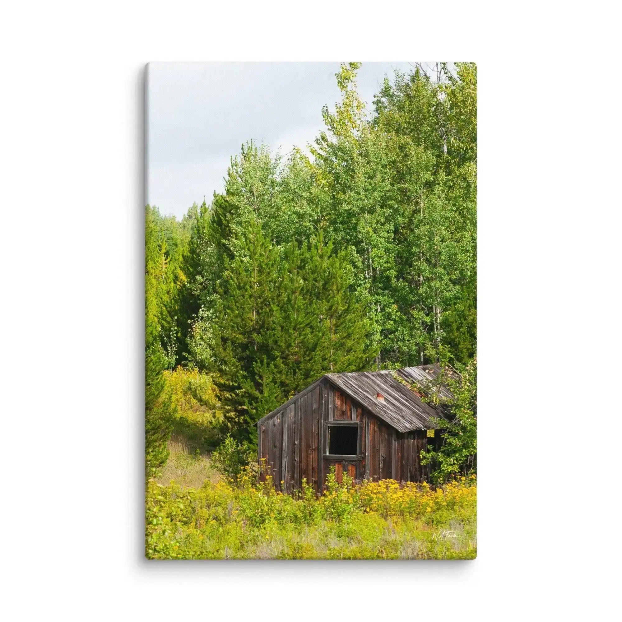 Rustic wooden cabin in wildflower meadow with lush green trees, nature wall art decor print