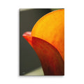 A vertical fine art macro photograph of a Calla Lily petal in shades of vibrant orange and gold. The sunlight filters through the petal, highlighting fine veins and textures against a soft, dark background. The image is presented as a professional gallery-wrapped canvas by Bill Fowle.