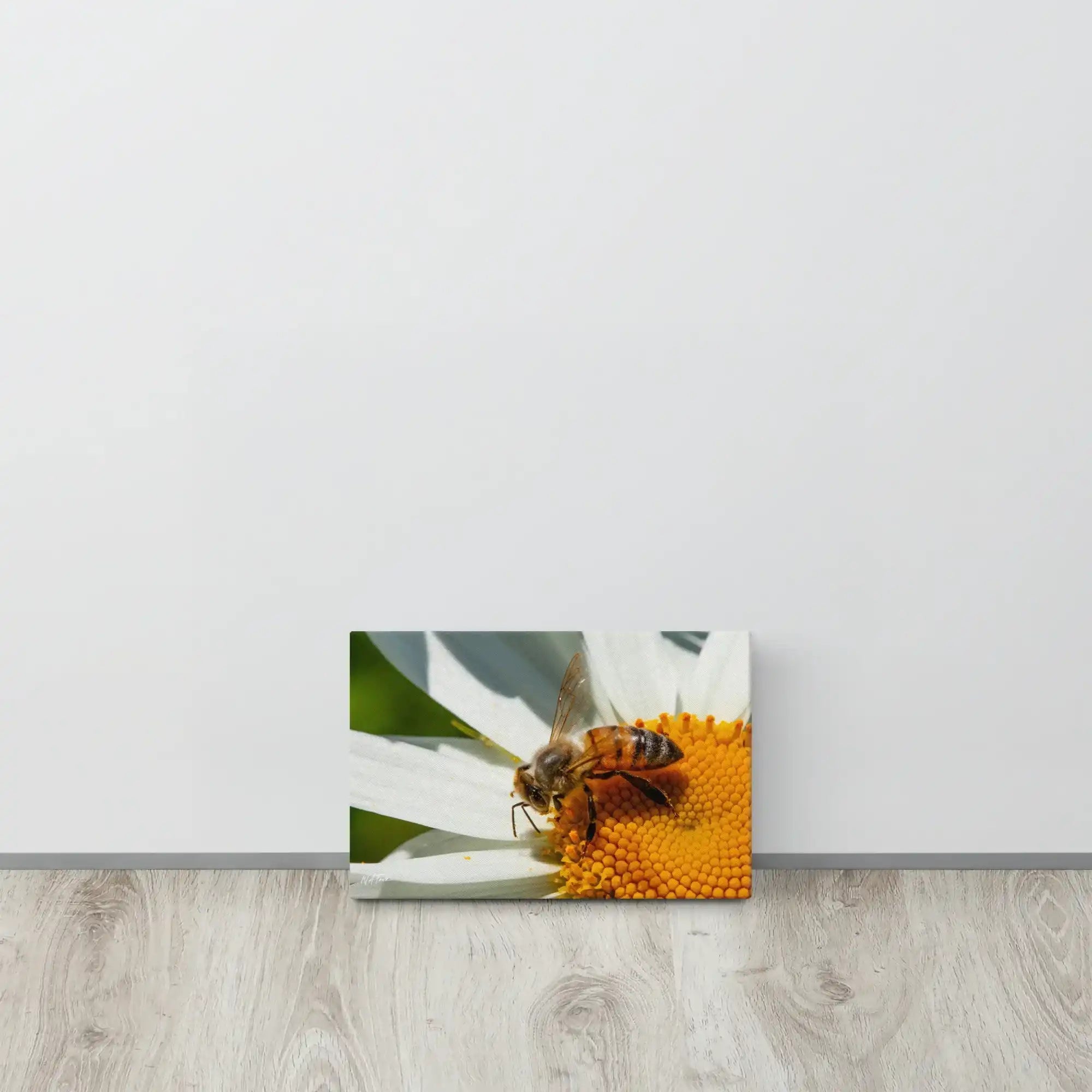 Canvas print featuring a close-up photo of a honeybee on a white daisy flower