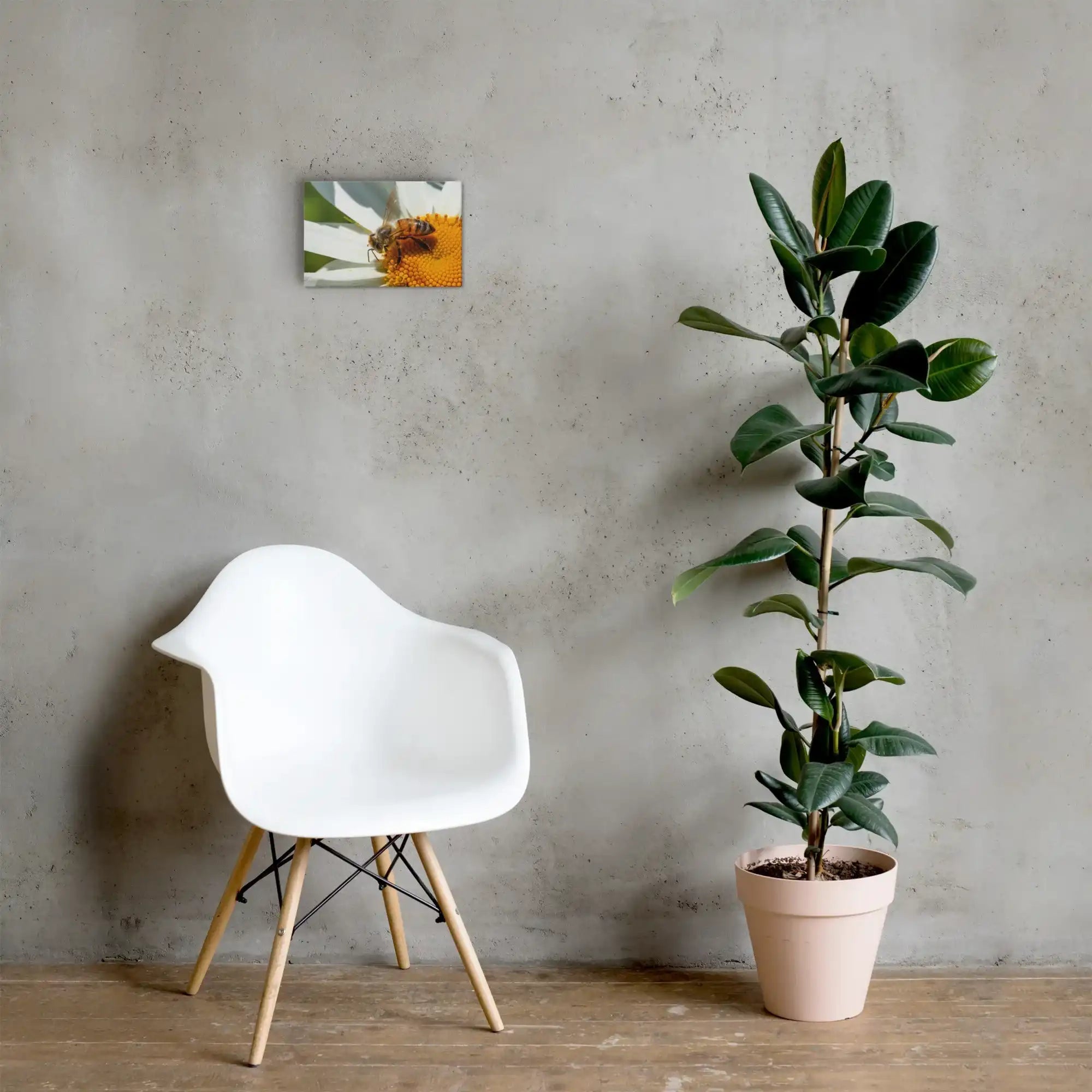 Small canvas wall art of a bee on a daisy, displayed above a modern chair and potted plant