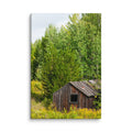 Rustic wooden cabin in a green forest, professional photography wall art from Bill's Photo Shop