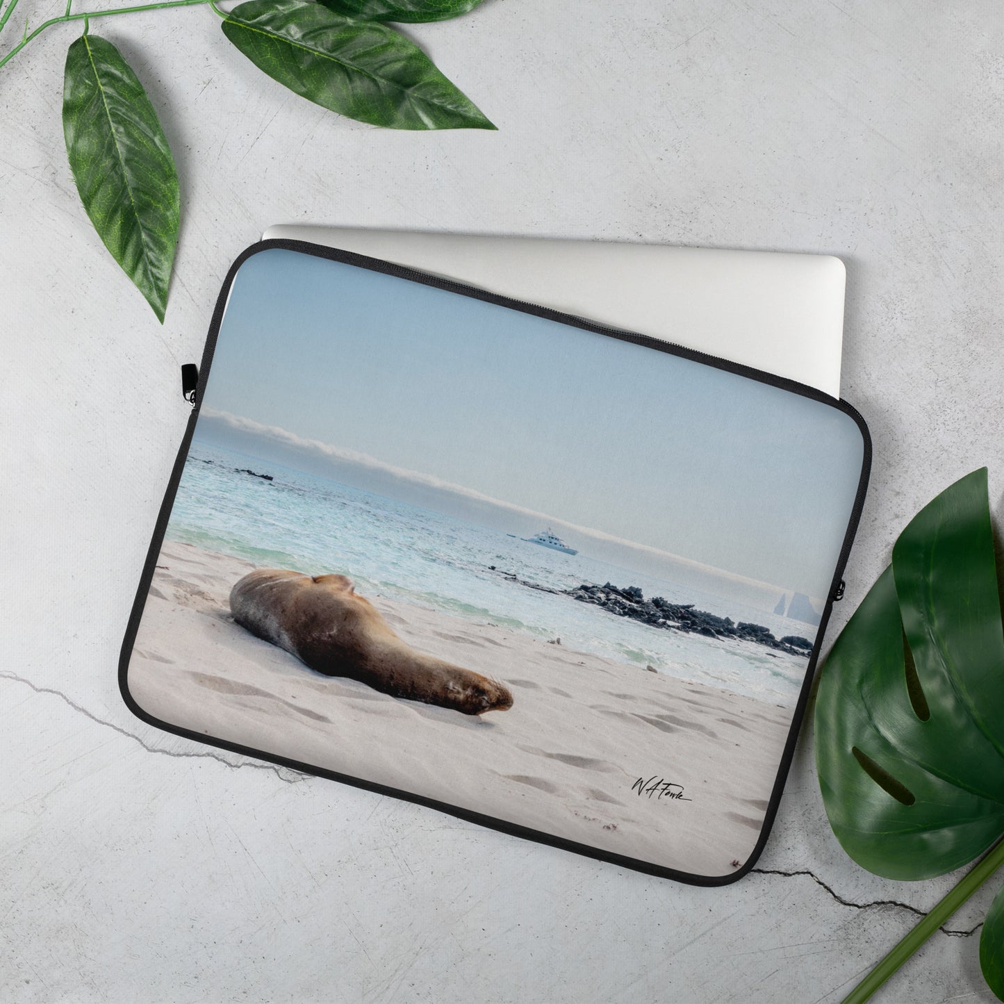 Island Dreams – Galapagos Sea Lion Laptop Sleeve