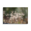 Golden Whispers: Sunlit Meadow Grass Canvas Wall Art