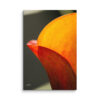 Calla Lily Canvas Wall Art – Bold Orange Red Macro Gallery Wrap