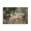 canvas-in-16x24-wall-6a839860d0701.jpg Backlit Grass Canvas Wall Art – Golden Bokeh Botanical Gallery Wrap