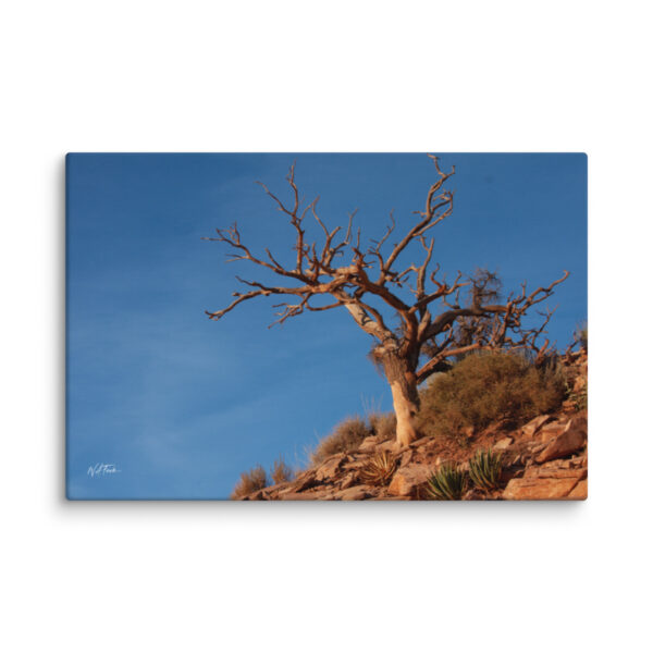 canvas-in-16x24-wall-6a839a11676d7.jpg Desert Tree Canvas Wall Art – Weathered Red Rock Gallery Wrap