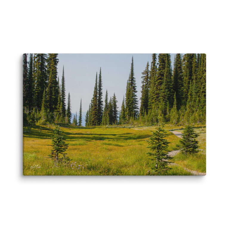 Left Sidebar 1 canvas in 20x30 wall 6a80e462efdc2