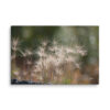 Golden Whispers: Sunlit Meadow Grass Canvas Wall Art
