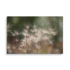 Golden Whispers: Sunlit Meadow Grass Canvas Wall Art
