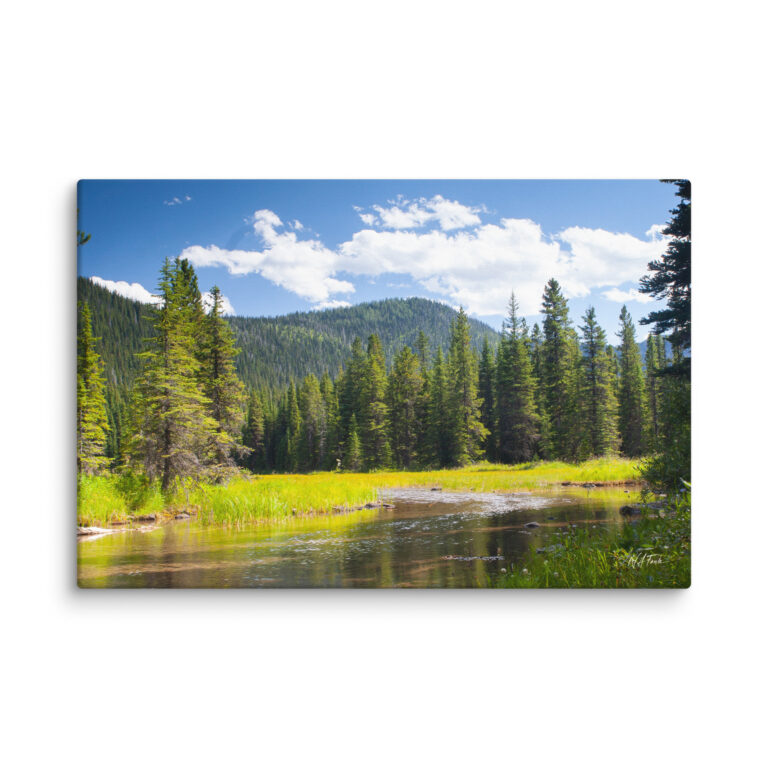 Mountain Stream Canvas Print – Alpine Meadow Landscape Wall Art