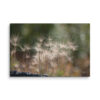 Golden Whispers: Sunlit Meadow Grass Canvas Wall Art