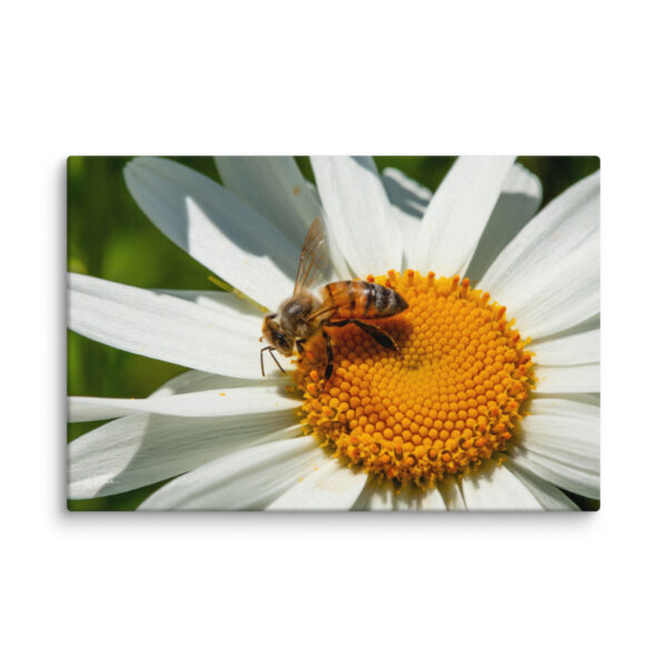Honeybee Daisy Canvas Wall Art – Golden Garden Macro Gallery Wrap