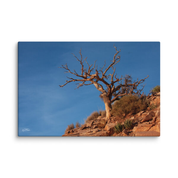 canvas-in-40x60-wall-6a839a116775c.jpg Desert Tree Canvas Wall Art – Weathered Red Rock Gallery Wrap